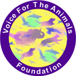 Voice for the Animals Foundation