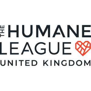 The human League