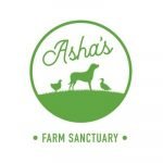 Asha's Farm Sanctuary