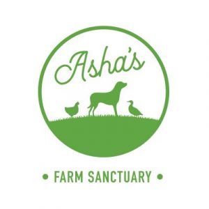 Asha's Farm Sanctuary